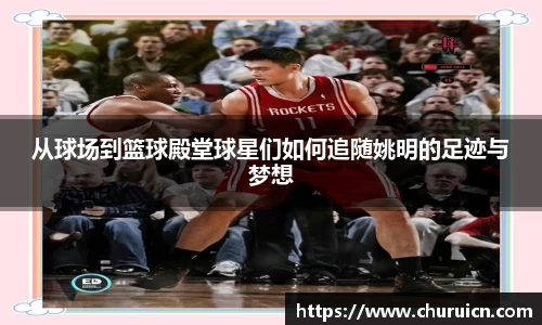 从球场到篮球殿堂球星们如何追随姚明的足迹与梦想
