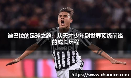 XK星空官方网站